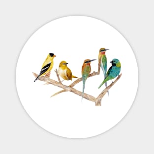 Birds in branches Magnet